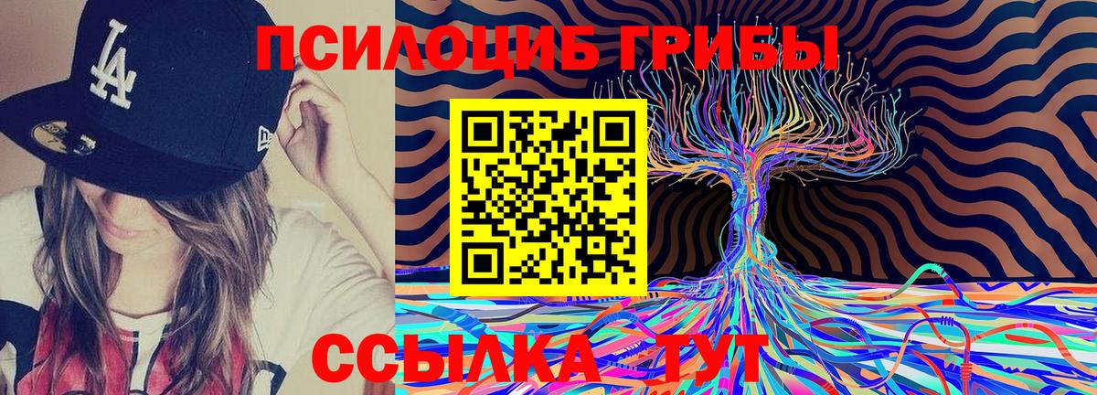 Псилоцибиновые грибы Psilocybe Югорск